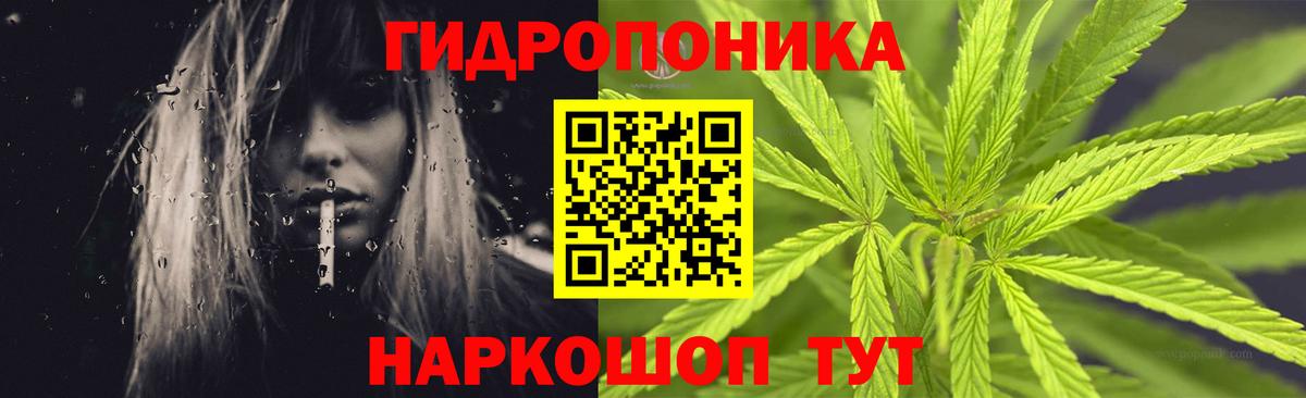 Конопля индика  Канабис семена  Вход с VPN  Северодвинск 